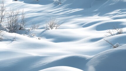 Winter Landscape of Snow Covered Hills with Bare Trees in Sunlight Peaceful and Tranquil Scene Nature Photography