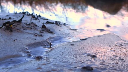 Close up gorgeous video of small water stream flowing on wet sandy beach seaside shoreline during sunset into reflective sunset water with red colors and beach grass and reeds reflecting in it. - Powered by Adobe