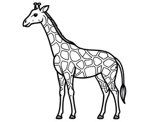 Fototapeta premium giraffe ,illustration outline isolated on white background