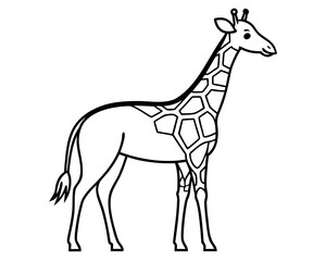 Fototapeta premium giraffe ,illustration outline isolated on white background