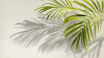 Gentle Light with Green Palm Frond Against Warm Beige Textured Wall Casting Shadow Creating Tropical Background