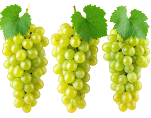 Three bunches of ripe green fruit with leafy green tops on black background