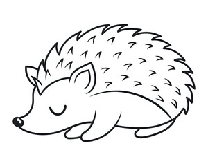 sleeping hedgehog ,illustration outline isolated on white background
