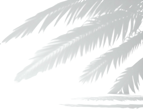 Abstract, frosty branch against a dark backdrop. Silvery fronds with textured detail