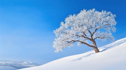 Lone tree coated in ice and snow on a gentle slope, blue winter sky above
