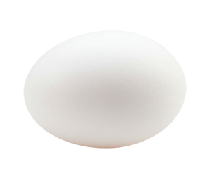 A single white egg with a smooth shell, against a black, non-descript background
