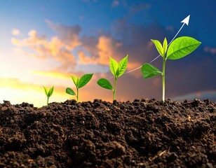 Sprouts growing into plants on a dirt bed with a sky background and an arrow