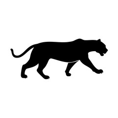 silhouette of a cheetah