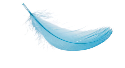 Delicate light blue feather floating isolated PNG with Transparent Background