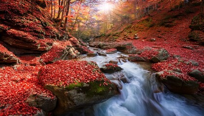 Small Mountain River Flow Through Canyon Covered By Red Dry Leaves