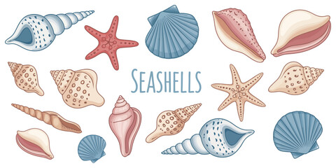 Decorative Seashell & Starfish Clipart Collection — Ocean Beach Themed Vector Illustrations in Various Shapes and Colors for Summer Designs, Packaging, Textile, Scrapbooking, Cards, Stickers