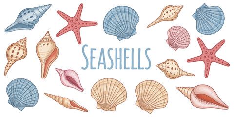 Decorative Seashell & Starfish Clipart Collection — Ocean Beach Themed Vector Illustrations in Various Shapes and Colors for Summer Designs, Packaging, Textile, Scrapbooking, Cards, Stickers