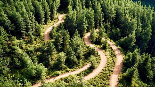 Serpentine dirt road winds through lush green forest canopy, offering breathtaking aerial views of nature's tranquility and adventure.