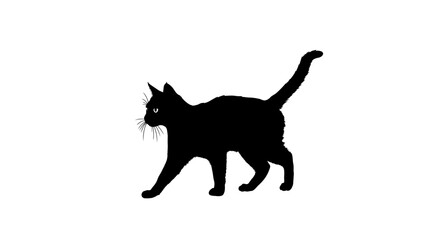 Silhouette of a black cat walking gracefully across a white background, tail held high.