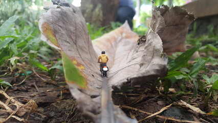 Mini toy of action figure at outdoor with blurred background. Toy photography concept.