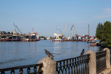 Pigeons perched on the fence of Oktyabrskaya Embankment against the backdrop of the construction of the Bolshoy Smolensky Bridge across the Neva. St. Petersburg, Russia