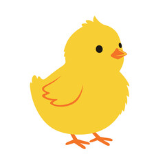 Adorable Yellow Chick Illustration with Orange Beak and Feet.