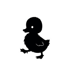 Silhouette of a cute duckling walking with its tiny feet.