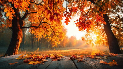beautiful Autumn Landscape - Trees And Orange Foliage In Park At Sunset