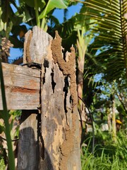 background of an old wooden fence