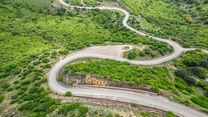 green in the midst of middle east 