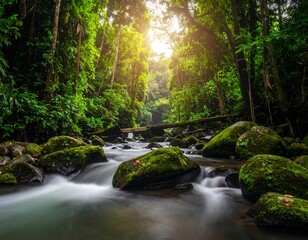 Obraz premium Lush rainforest stream flowing under a wooden bridge