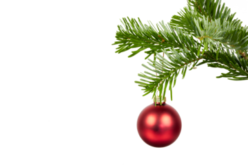 red christmas ball hanging on fir tree branch isolated on white or transparent png