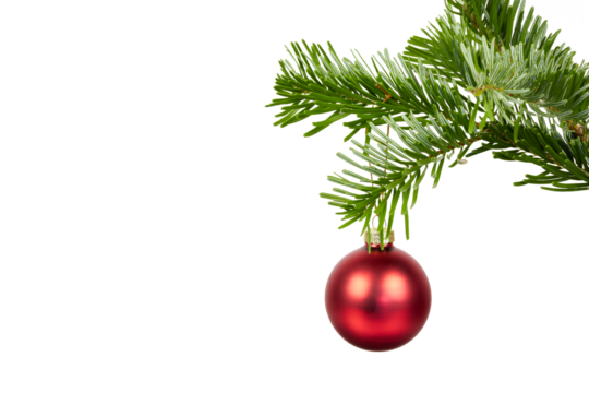 red christmas ball hanging on fir tree branch isolated on white or transparent png