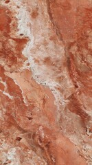 Fototapeta premium Abstract tile pattern with tennis racket-like divisions features natural terracotta and sandstone textures arranged in c