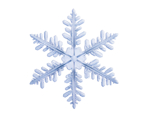 Intricate, symmetrical ice crystal, six-pointed, delicate, against a black background