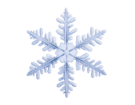 Intricate, symmetrical ice crystal, six-pointed, delicate, against a black background