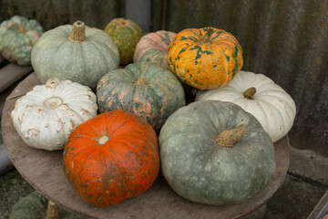 variety of colorful heirloom pumpkins and gourds displayed on a rustic wooden table concept of food and beverage, retail, seasonal marketing
