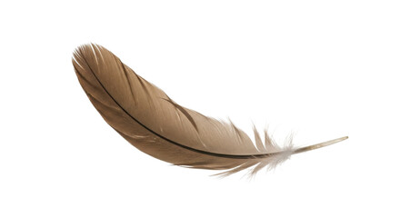Single brown feather close-up for natural design isolated PNG with Transparent Background