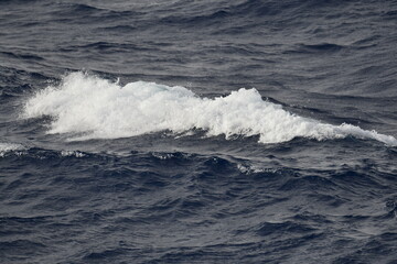 Rebentação das ondas oceânicas
