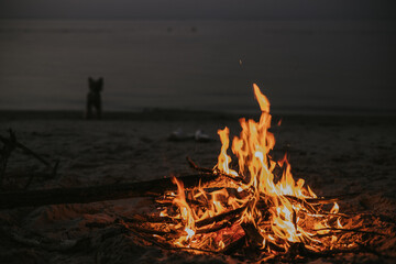 Campfire on the beach at dusk with a dog silhouette in the distance. A warm campfire burns brightly on a sandy beach as dusk over the ocean. Fire place on the sea coast at night. Travel with a doggy.