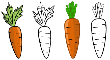 vector illustration of a carrot vegetable 