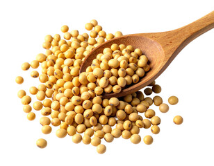 Golden soybeans spilling from a wooden spoon onto a pile