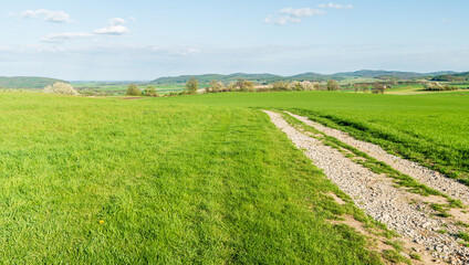 Obraz premium Early springtime rural landscape near Janov village in Czech republic