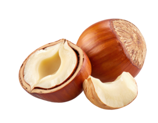 Close-up of a hazelnut split open to show the creamy interior with two others