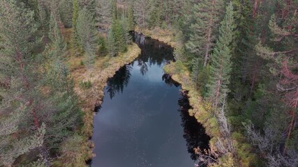 Calm forest rive slowly runs trough the forest. Drone footage
