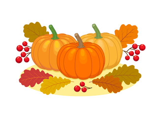 Autumn composition: pumpkins and leaves. Color vector illustration. Isolated on white background.	