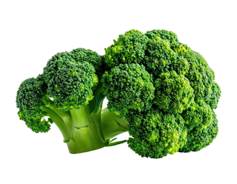 Isolated, vibrant green broccoli floret head against a stark black background