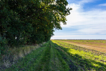 road in the field