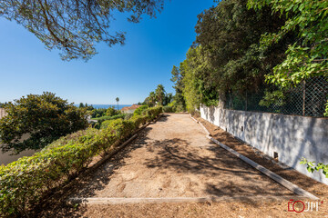 Sunny garden pathway surrounded by trees and Mediterranean vegetation