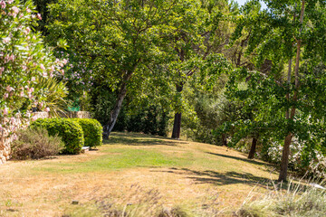 Mediterranean garden with lush greenery and summer light