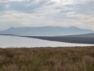 island, shore and rocks on the seashore in iceland