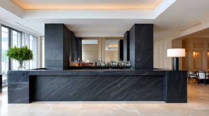 Modern bar area featuring sleek black marble counter, elegant lighting, and lush greenery, creating a sophisticated atmosphere for social gatherings and relaxation