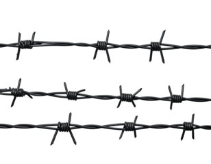 Three strands of sharp, dark grey barbed wire against a black background