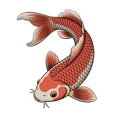 Vibrant Orange and White Koi Fish Swimming with Flowing Fins Keywords: koi fish, carp, japanese fish, aquatic animal, swimming isolated on a transparent background