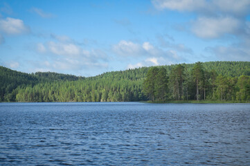 Swedish lake with forest reflection under blue sky on a sunny day
